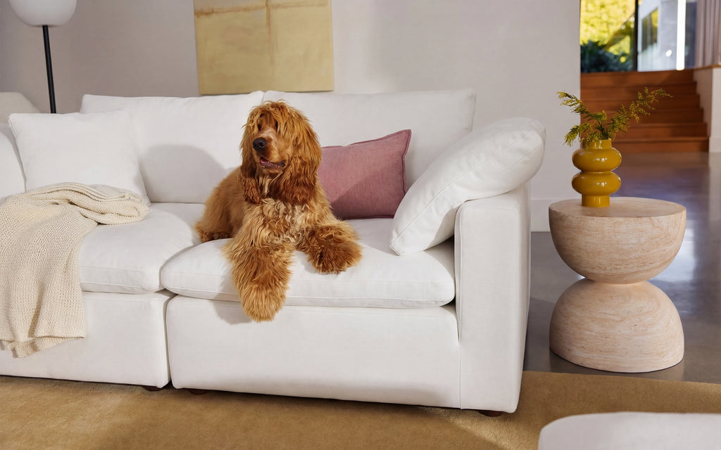 Cloud Couch 5-Seater Modular Corner Sectional | White